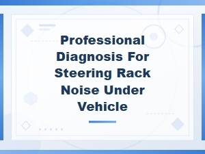 Professional Diagnosis for Steering Rack Noise Under Vehicle