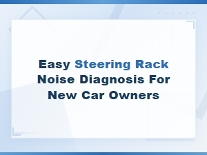 Easy Steering Rack Noise Diagnosis for New Car Owners